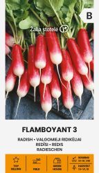 Radish Flamboyant 3 Seeds